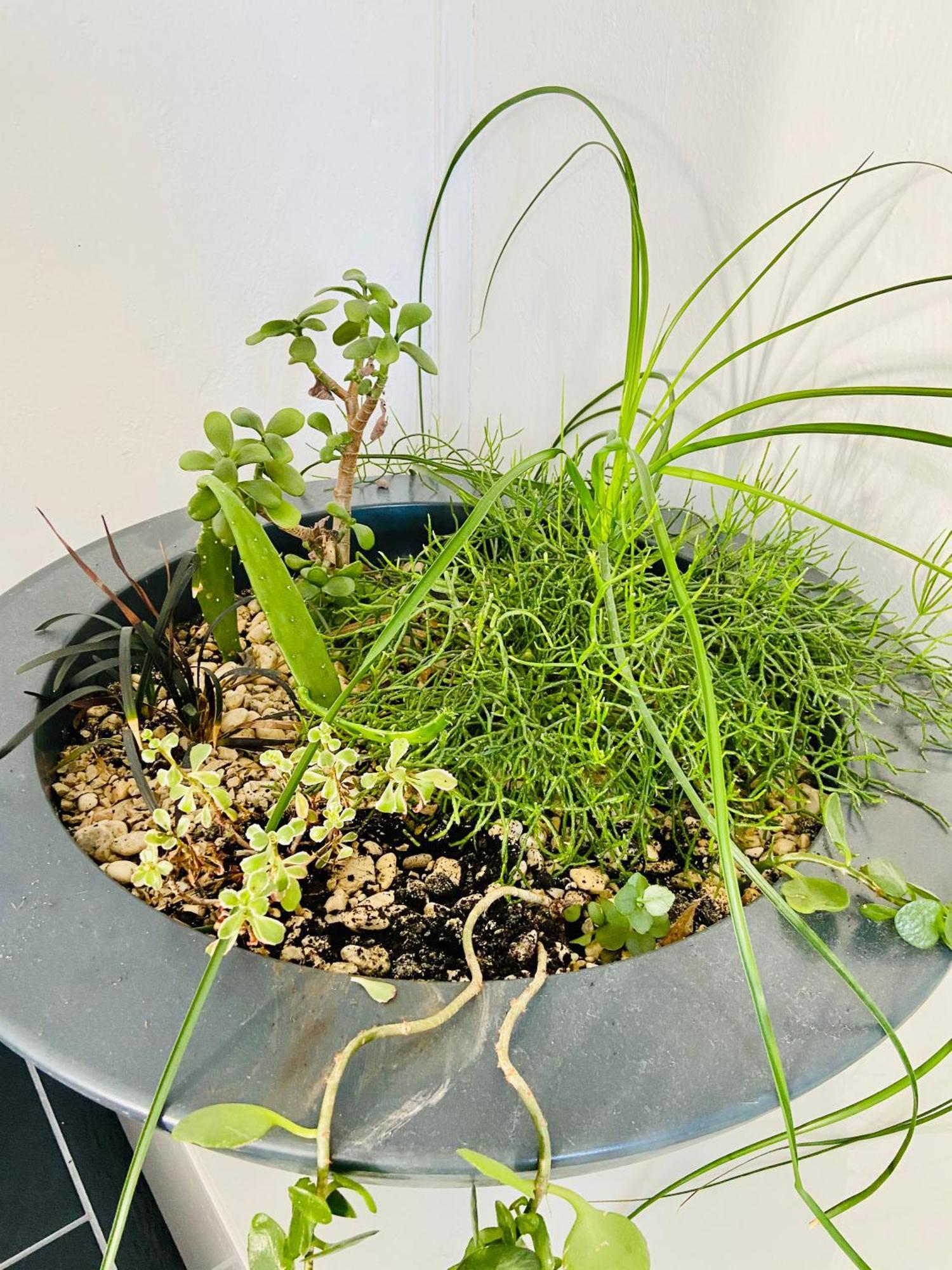 格拉达茨Manda Gradac公寓 外观 照片